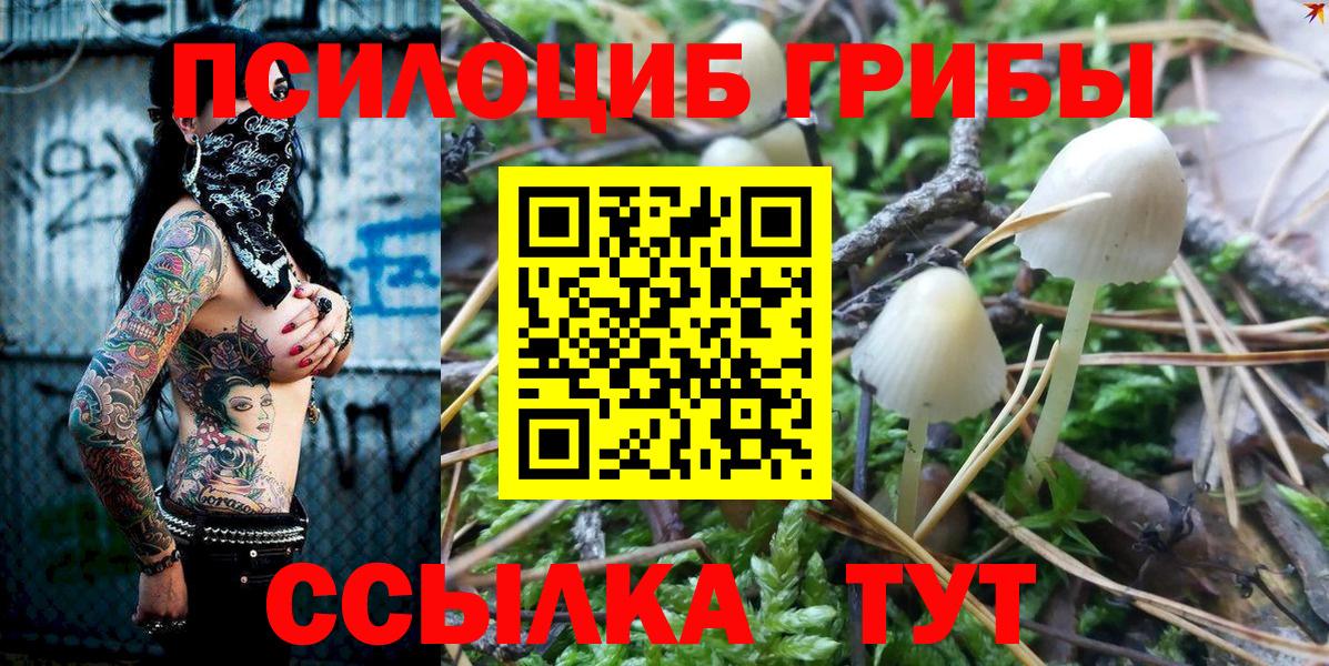 Галлюциногенные грибы GOLDEN TEACHER  хочу   Вход с VPN  Димитровград  Галлюциногенные грибы мицелий 