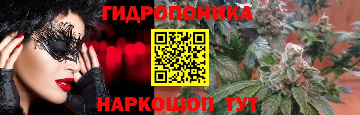 Каннабис план Димитровград